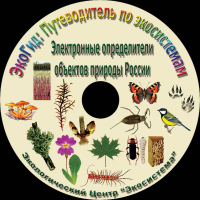 Цифровые компьютерные атласы-определители объектов природы России (комплект цифровых определителей живых организмов) ЭкоГид: Путеводитель по экосистемам