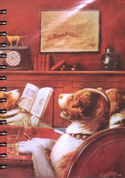 Скетчбук Кулидж. В гостях у больного друга.