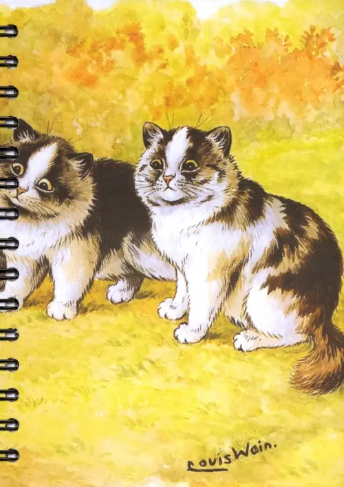 Скетчбук Уэйн. За птичкой.