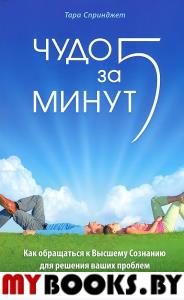 Чудо за пять минут.Как обращаться к Высшему Сознанию для решения ваших проблем. Спринджет Тора