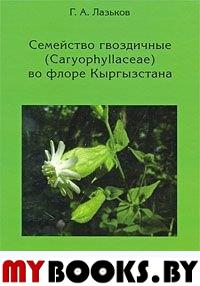 Семейство гвоздичные (Caryophyllaceae) во флоре Кыргызстана.