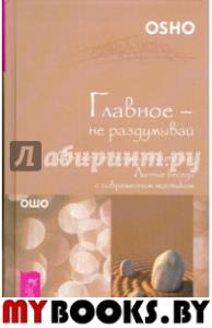 Главное-не раздумывай.Движение вглубь медитации.Личные беседы с современным мистиком.