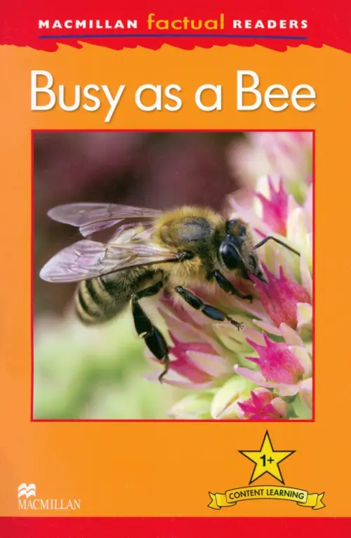 Mac Fact Read.  Busy as a Bee. Caroll Louise P.