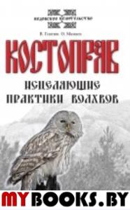 Костоправ. Исцеляющие практики волхвов. Гнатюк В.С., Мамаев О.И.