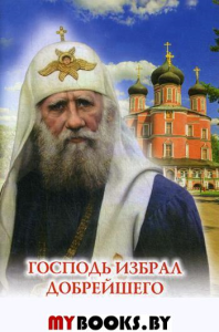 Господь избрал добрейшего: Повествование о святом патриархе Тихоне для семейного чтения. Скоробогатько Н.В.