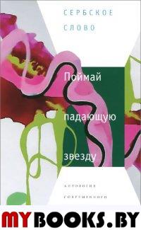 Поймай падающую звезду: Антология современного сербского рассказа