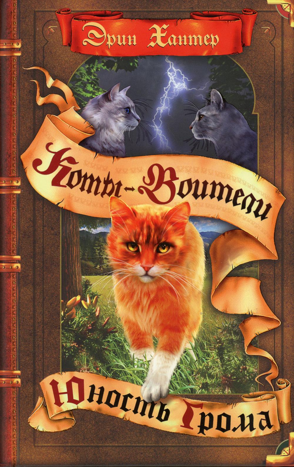 Коты-воители. Юность Грома. Хантер Э