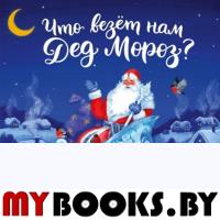 Что везет нам Дед Мороз?. Настя Орлова