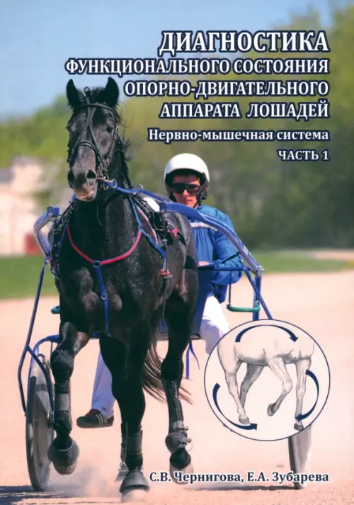 Диагностика функционального состояния лошадей. Чернигова Светлана Владимировна