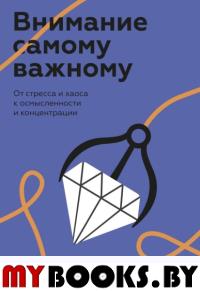 Внимание самому важному. От стресса и хаоса к осмысленности и концентрации. Джеймс Н.