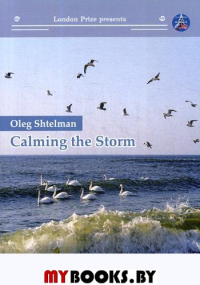 Calming the storm. Штельман О.В.