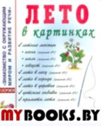 Картинки на пружинке. Дидактический материал по развитию логического мышления и связной речи у детей. Выпуск №3. Мир человека. Арбекова Н.Е.