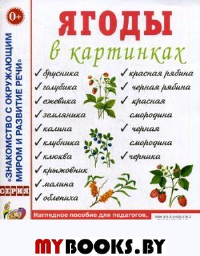 Ягоды в картинках. Наглядное пособие для педагогов, воспитателей, логопедов, родителей.