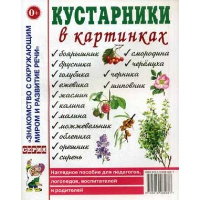 Кустарники в картинках. Наглядное пособие для педагогов, логопедов, воспитателей и родителей. Шорыгина Т.А.