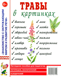 Травы в картинках. Наглядное пособие для логопедов, педагогов, воспитателей и родителей.