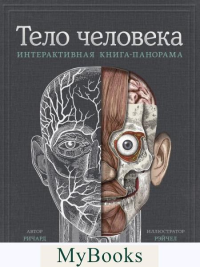 Тело человека. Интерактивная книга-панорама. Ричард Уолкер, Рейчел Колдуэлл