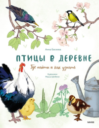 Птицы в деревне. Где найти и как узнать. Анна Евсеева, художник Маша Шебеко