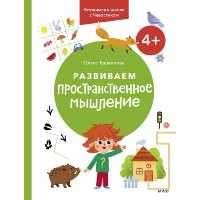 Развиваем пространственное мышление. 4+. Готовимся к школе с Чевостиком.. Ольга Тушканова
