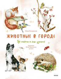 Животные в городе. Где найти и как узнать. Илья Гомыранов