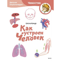 Как устроен человек. Детская энциклопедия (Чевостик) (Paperback). Елена Качур
