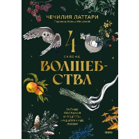 4 сезона волшебства. Тайные послания и рецепты, нашептанные лесом. Чечилия Латтари
