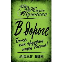 В дороге. Боже, как грустна наша Россия!. Пушкин А.С.