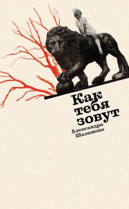 Как тебя зовут. Шалашова Александра