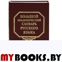 Большой академический словарь русского языка. Т.18 Подлещ-Порой