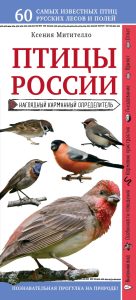 Птицы России. Наглядный карманный определитель (для ПР). Митителло К.Б.