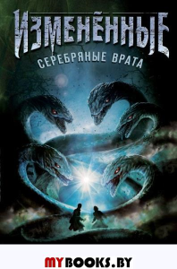 Серебряные врата. Дилейни Д.