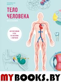 Тело человека. Интерактивный атлас по анатомии с вырубкой. Разбери свое тело на 6 систем. Слой за слоем. Билич Г.Л., Зигалова Е.Ю.