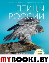 Птицы России. Большая иллюстрированная энциклопедия. Матанцев А.Н.