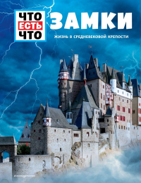 ЗАМКИ. Жизнь в средневековой крепости. Шаллер А.