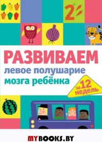 Развиваем левое полушарие мозга ребенка за 12 недель. <не указано>