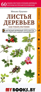 Листья деревьев. Как узнать растение. Куценко М.