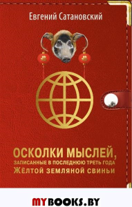 Осколки мыслей, записанные в последнюю треть года Желтой Земляной Свиньи. Сатановский Е.Я.