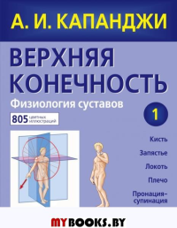 Верхняя конечность: Физиология суставов: схемы биомеханики человека с комментариями. Капанджи А.И.