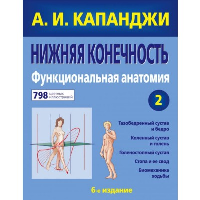 Нижняя конечность: Функциональная анатомия (обновленное издание). Капанджи А.И.