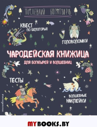 Чародейская книжица для богатырей и волшебниц. Головоломки, тесты, квест (+ наклейки) <не указано>, Гудкова А.А.