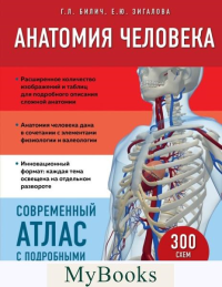 Билич Г.Л., Зигалова Е.Ю.. Анатомия человека. Современный атлас с подробными иллюстрациями