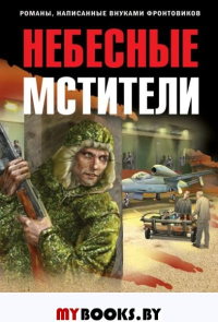 Небесные мстители. Каржавин В.В.