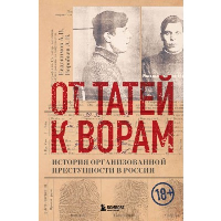 От татей к ворам: история организованной преступности в России. Евдокимов А.В., Воробьев А.В.