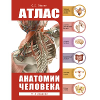 Сокрушительный питч в стиле поп-ап. Экспресс-подход к созданию презентации, которая продает, вдохновляет и поражает. Роэм Д.