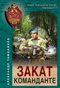 Тамоников А.А.. Закат команданте