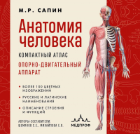Сапин М.Р.. Анатомия человека. Компактный атлас. Опорно-двигательный аппарат
