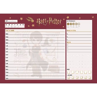 Планер настольный с отрывными листами. Гарри Поттер. Коллекция "Cute kids" (24х17 см, 48 л.). <не указано>