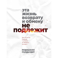 Эта жизнь возврату и обмену не подлежит. Как построить будущее, о котором не придется сожалеть. Голдсмит М.