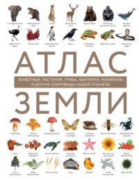 Михайлова Р.В.. Атлас Земли. Животные, растения, грибы, бактерии, минералы и другие сокровища нашей планеты