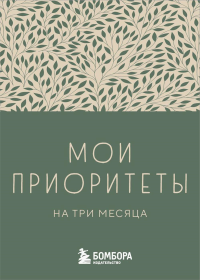 Мои приоритеты на три месяца (зеленый). Нечаева Н.Г.