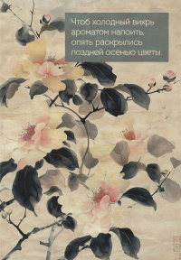 Цветы Японии. Ежедневник недатированный (А5, 72 л.).